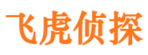 颍上外遇调查取证